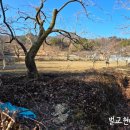 벌교철망 이미지