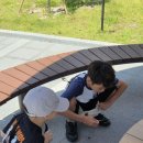 동화마을만두카페 | 기장 안데리센 동화마을 다녀온 후기 그리고 기장 유르트 브런치카페
