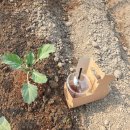 석지농장 이미지