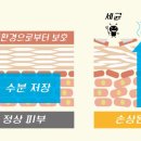 코스마인 이미지
