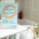 써니민박 이미지