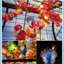 (주)레드캡투어 이미지