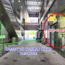 배추야놀자