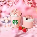 스타백스 네이버블로그