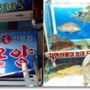 온양상회 네이버블로그