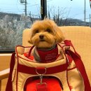 (주)캔소프트 이미지