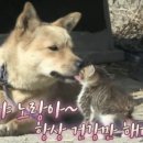 없음 - 16394 | 없음