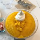 새뜸마을1108동앞 | 세종빙수맛집 빙빙수 생망고빙수 후기 | 쿠팡리뷰 1위 가성비 좋은 생과일 빙수 추천