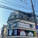 250426 홍대 나가노 마켓 후기 (제로퍼센트 서울)