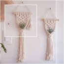 마크라메 플랜트 행잉 DIY | 마크라메 소형 이오난사 플랜트행잉 만들기 diy키트 단체 워크샵 소품으로 추천해요!