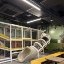 형아푸드 이미지