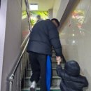 횡성한우명품떡갈비 이미지