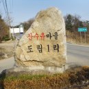 이천백사면 도립리산수유축제장 이미지