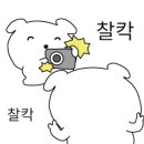 일비스파