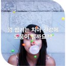 금곡치과의원 네이버블로그