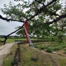 동박생이 이미지