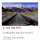 혜현윤공인중개사사무소 이미지