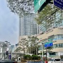 수진헤어샵 | [톤트헤어] - 상왕십리 미용실 // 염색 // 수진쌤의 완벽한 터치 (feat. 두피 맛집)