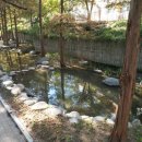 씨에스에프(주) 이미지