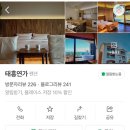 미스터크랩태흥 | 담은 제주 감성 펜션인 태흥연가! 너무 예뻐서 계속...숙소! 테라스와 돌담, 욕조 보유! 미스터크랩!