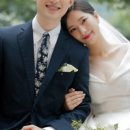 빅트리(Bigtree) 이미지