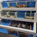 전민동 맛집 &#39;불타는 조개 돌아온 돼지&#39; 골드세트 후기