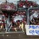 대성청과과일.야채
