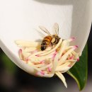 아천초등학교 능치분교 이미지