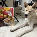 지에스25 제주무근성점 이미지