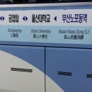 군청사거리~신정사거리 이미지