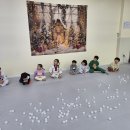 성실 태권도 이미지