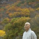 직지심경