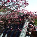 벌교식당 이미지