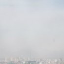 하루홍차 이미지