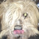 노와1리경로당 이미지