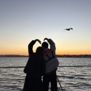 박선장네 | [포항 요트투어] 포항 데이트/포항 볼거리/포항 영일대 가족여행 <박선장 요트투어> 일몰 탑승 후기