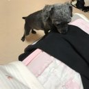 (주)코리아세븐 신촌창천점 | 2022 1,2월 기록