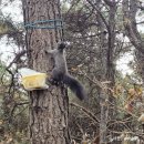 바람쉼터 | 봉제산 둘레길 산책 후기 | 주차, 산책쉼터, 정상 뷰까지 정리
