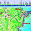 블루로드 Daum카페