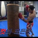 원송차이프로모션