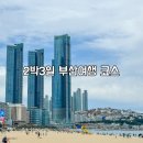 2박3일 부산 여행 코스 추천 부산 렌트카 가족여행