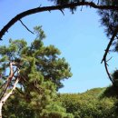 파주삼릉 이미지