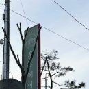 오스테이 | 경남 산청 글램핑 지리산뷰에 무료 바베큐까지, 산청 오스테이 글램핑 힐링 후기