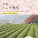 느리게 걷기 네이버블로그