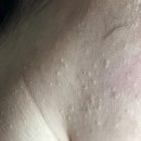 지앤영피부과의원 이미지