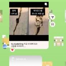 다꼬치다 이미지