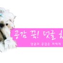 부평농협로터리 네이버블로그