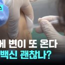 [우한폐렴] 12월에 또 온다는디? 좌티비씨에서 이미지