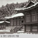 1271 Daum카페