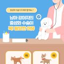 배곧동물병원 이미지